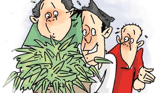 Kesah Palui : Mamborong Kangkung